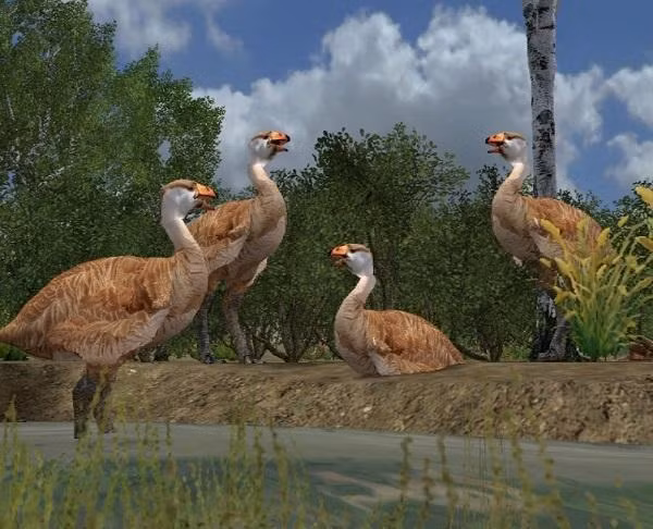 Genyornis newtoni là loài chim ăn thịt khổng lồ cao tới 2,1m, nặng 230kg. Quả trứng mà chúng đẻ ra nặng khoảng 1,6kg nhưng cũng chính là thứ mang đến thảm họa diệt vong cho loài chim huyền thoại này.