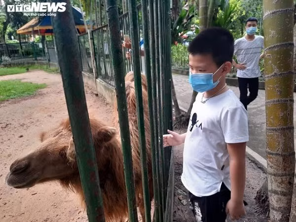 Trả lời VTC News, ông Phạm Văn Tân, Giám đốc Công ty TNHH MTV Thảo Cầm Viên cho biết, hiện đơn vị đang nuôi hơn 1.600 con thú, thuộc 125 loài, trong đó có nhiều loài quý hiếm.