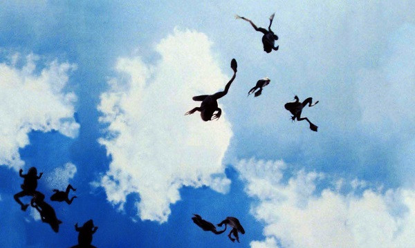 Mưa ếch đã từng xảy ra từ năm 1873, như "đám mây đen kịt bao phủ khoảng rộng lớn" sau mưa bão ở Kansas, Missouri (Mỹ). Chưa rõ nguyên nhân trận mưa ếch năm 1873, nhưng các nhà khoa học suy đoán ếch rơi khi những cơn gió cực mạnh mang chúng từ đầm lầy đến.