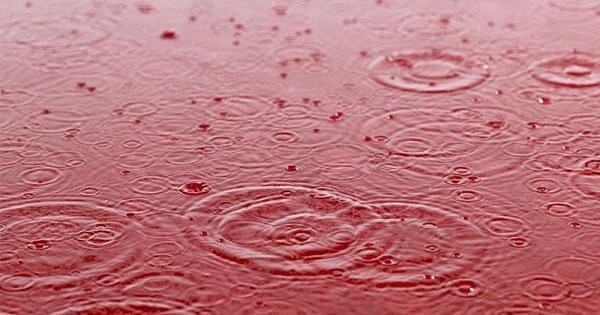 Đôi khi, vi sinh vật như loại tảo nước ngọt có tên là Haematococcus pluvialisbị bị coi là nguyên nhân của hiện tượng kỳ lạ này. Trường hộc mưa máu xảy ra ở tây bắc Tây Ban Nha vào năm 2014 là một minh chứng cho điều này.