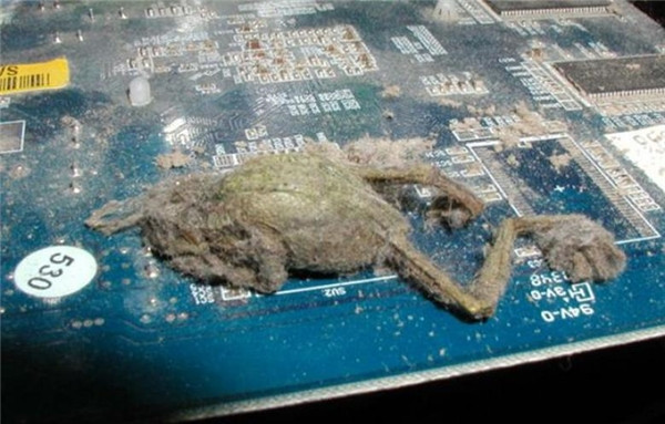 Cảnh tượng gây ám ảnh nhất có thể xảy ra nếu quá lâu bạn không dọn dẹp và vệ sinh PC. Siêu máy tính giữ kỷ lục thế giới mạnh đến mức nào? | VTC14