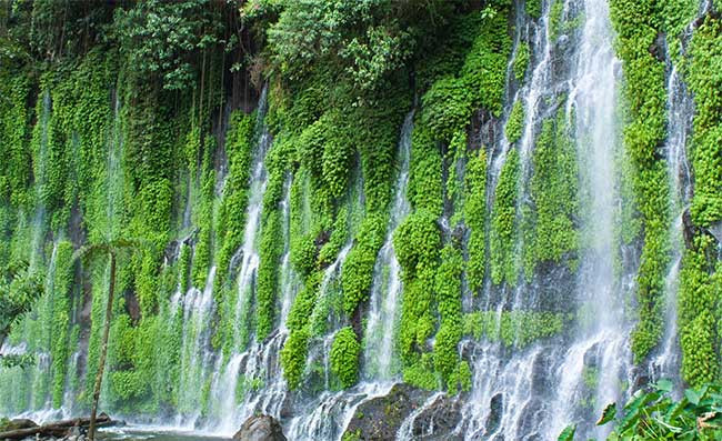 Asik-Asik là một trong những con thác đặc biệt nhất thế giới khi dòng nước luôn chảy ào ạt dù phía trên không có con sông nào. Dòng nước đổ xuống thác chảy ra từ các vách đá được bao phủ bởi thảm thực vật đẹp mắt.