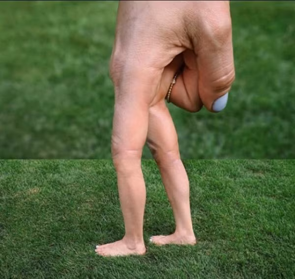 Sự hợp lý đến bất ngờ giữa hai bức ảnh mà Stephen sử dụng để cắt ghép tạo nên một tác phẩm thú vị mà nhiều người nghĩ là có ''đụng chạm'' photoshop.