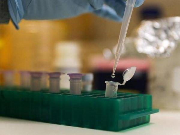 Ngoài bất tử, hiện chưa rõ những sinh vật này có khả năng gì khác, nhưng việc dự án đang nhận được hàng triệu USD từ Lầu Năm Góc cho thấy chúng có thể sẽ thay thế những người lính trên chiến trường trong tương lai. Vì vậy không thể phủ nhận đây sẽ là một trong những vũ khí tương lai thông minh hơn cả con người.