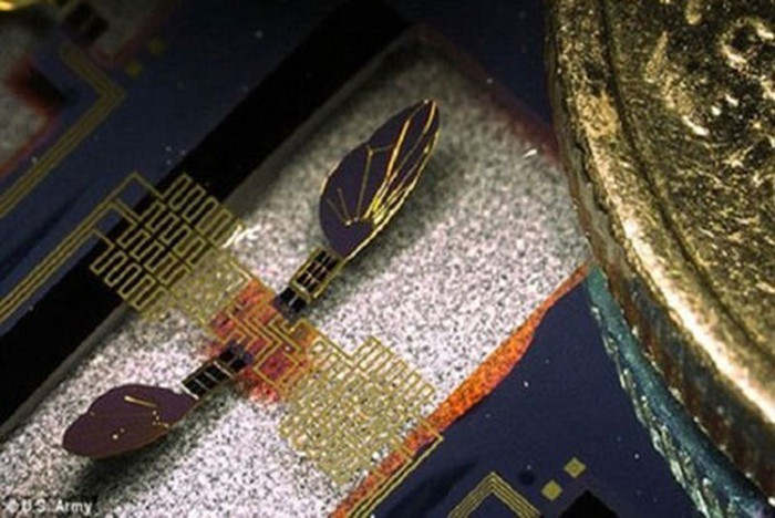 Côn trùng cyborg về cơ bản có thể thực hiện nhiệm vụ thông tin tình báo nhờ được trang bị hệ thống vi cơ. Thiết bị này sẽ được đưa vào một sinh vật sống trong giai đoạn phát triển ban đầu (khi côn trùng ở trong kén hoặc nhộng), sau đó, được thả ra và các thông tin sẽ được truyền tải về trung tâm.