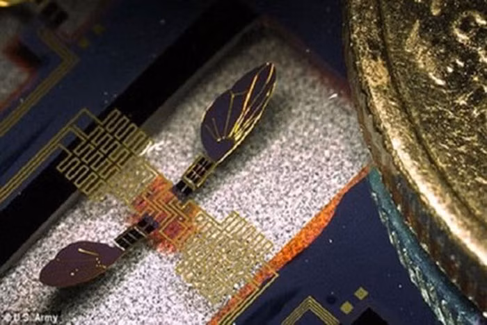 Côn trùng cyborg về cơ bản có thể thực hiện nhiệm vụ thông tin tình báo nhờ được trang bị hệ thống vi cơ. Thiết bị này sẽ được đưa vào một sinh vật sống trong giai đoạn phát triển ban đầu (khi côn trùng ở trong kén hoặc nhộng), sau đó, được thả ra và các thông tin sẽ được truyền tải về trung tâm.