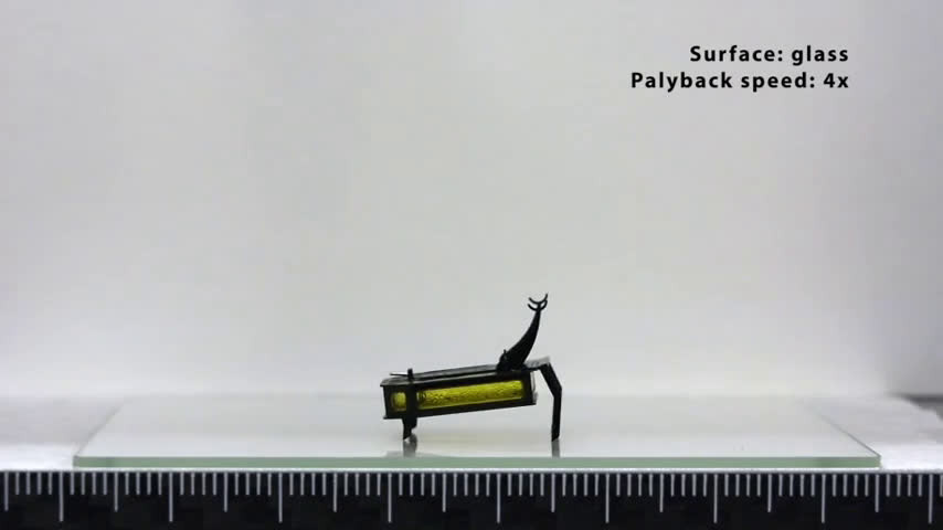 Sự nhỏ gọn đã khiến RoBeetle nằm trong danh sách những robot cực nhỏ và có trọng lượng nhẹ nhất được ứng dụng trong đời sống hiện nay. Theo tạp chí khoa học Science, đây được xem là một trong những robot đầu tiên không dùng điện làm năng lượng.