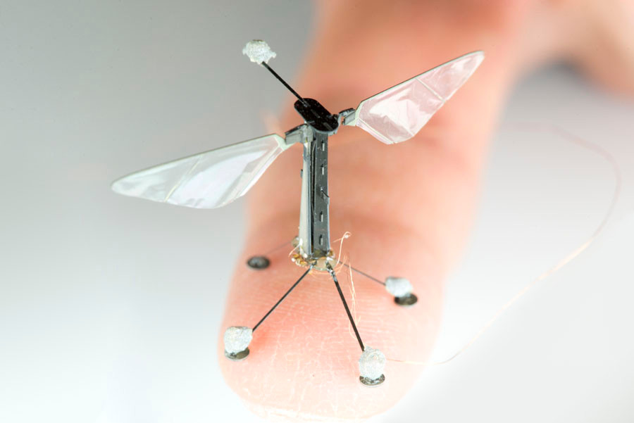 Tuy chưa thể có cùng khả năng giống con trùng, nhưng trong tương lai, nó có thể vượt qua những khả năng đó để thực hiện nhiệm vụ trong việc giám sát môi trường, hoặc bay trong những không phận nhạy cảm, hay ứng dụng trong y tế,...