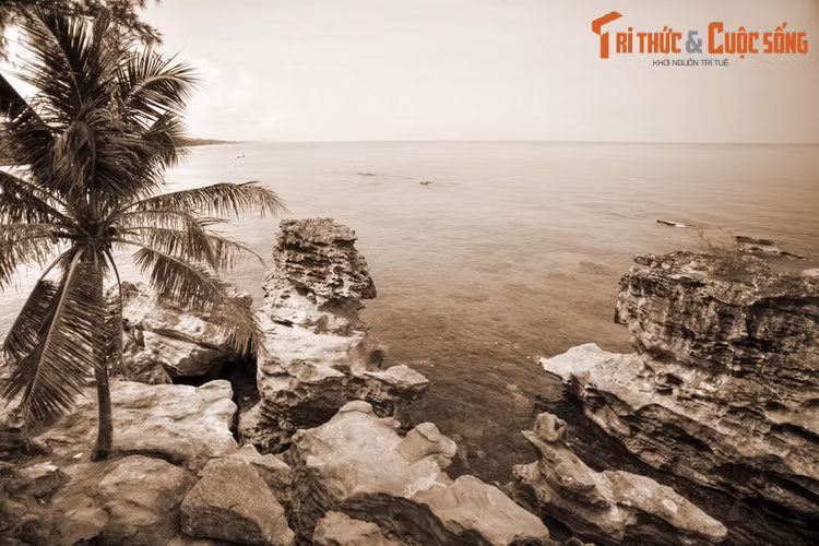  Tín ngưỡng thờ bà Chúa Ngọc và hai Cậu được cho là xuất phát từ những nhân vật có thật ở miền Trung. Do không còn dòng nào trong sử sách về những con người này được lưu lại nên những gì người đời biết về họ chỉ là những câu chuyện nửa thực nửa hư được lưu truyền trong dân gian.