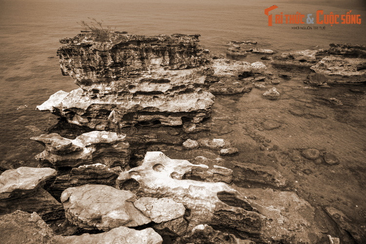 Việc “Cậu” được tôn lên vị trí cao, bên cạnh vị thần chủ là bà Chúa thể hiện nét đặc trưng của sự giao thoa văn hóa tâm linh giữa các cộng đồng người Việt Nam nơi biển đảo, thể hiện tính đa dạng trong thống nhất của văn hóa Việt Nam.