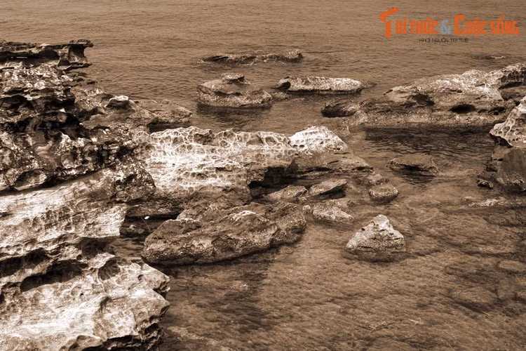 Một thời gian sau, ông không ở trong ngôi miếu nữa mà chui xuống hang dưới lòng hòn đá lớn quy ẩn. Ông dùng đá tự lấp cửa hang. Nhiều người lo ông chết đói đã đem cơm chay đến đặt trước cửa hang nhưng đến ngày sau vẫn thấy còn nguyên. Khi kiểm tra thì thấy ông vẫn sống.