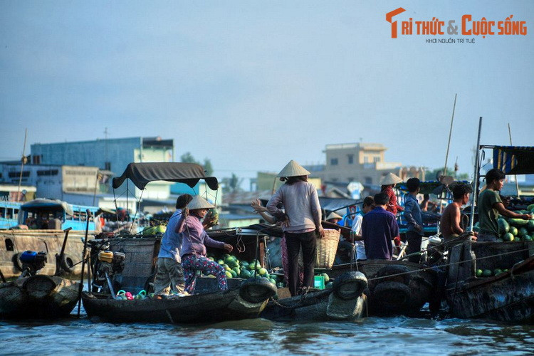  7. Cần Thơ (1.409,0 km2). Là đô thị lớn nhất vùng Tây Nam Bộ, Cần Thơ hấp dẫn du khách nhờ vẻ đẹp bình dị của đời sống miền sông nước. Những điểm đến không thể bỏ qua ở mảnh đất “gạo trắng nước trong” này là chợ nổi Cái Răng, bến Ninh Kiều, vườn cò Bằng Lăng, nhà cổ Bình Thủy... Ảnh: Một góc chợ nổi Cái Răng.