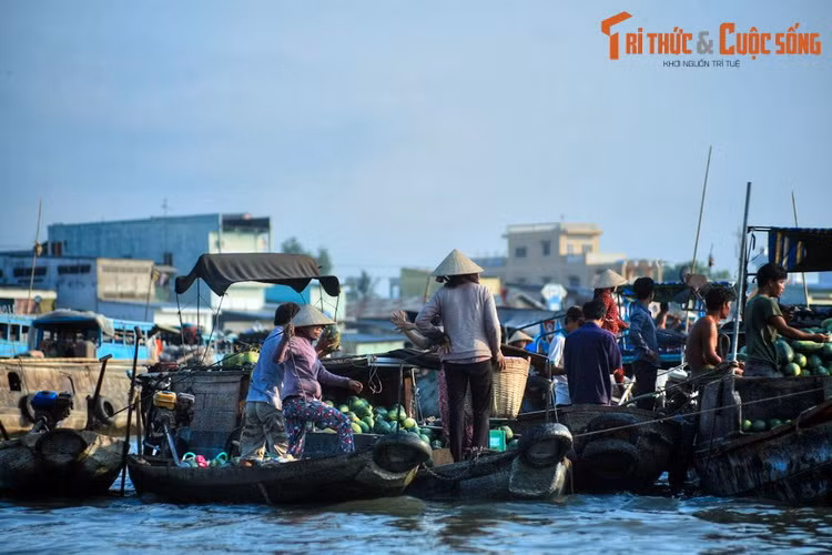  7. Cần Thơ (1.409,0 km2). Là đô thị lớn nhất vùng Tây Nam Bộ, Cần Thơ hấp dẫn du khách nhờ vẻ đẹp bình dị của đời sống miền sông nước. Những điểm đến không thể bỏ qua ở mảnh đất “gạo trắng nước trong” này là chợ nổi Cái Răng, bến Ninh Kiều, vườn cò Bằng Lăng, nhà cổ Bình Thủy... Ảnh: Một góc chợ nổi Cái Răng.