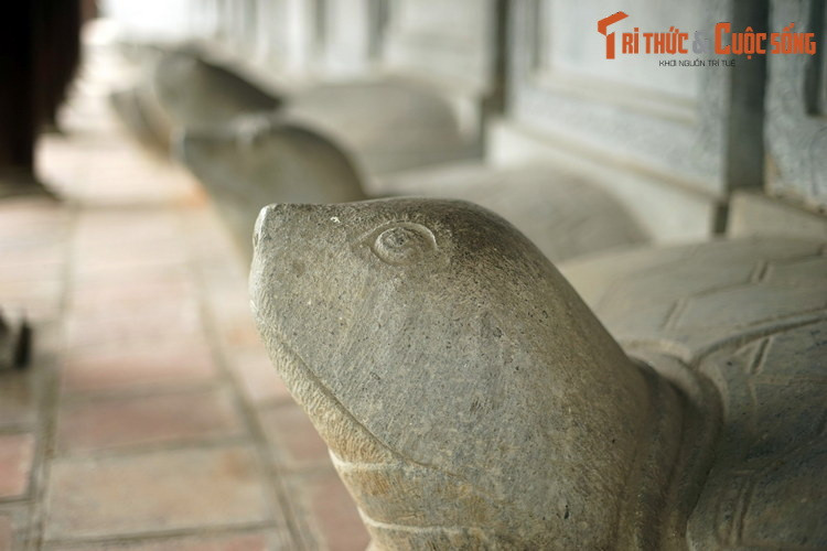 Tượng rùa đội bia Tiến sĩ ở Văn Miếu - Quốc Tử Giám Hà Nội. Những ngày gần đây, việc các sĩ tử tụ tập cầu khấn, đặt lễ tại bia "Hạ mã" bên ngoài Văn Miếu - Quốc Tử Giám Hà Nội do di tích này đóng cửa phòng dịch đã khiến nhiều người ngạc nhiên và bất bình.