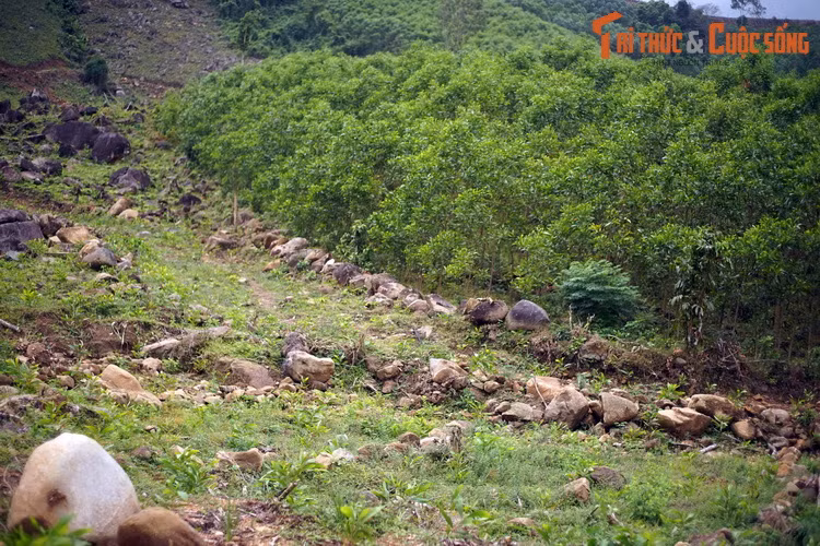 Tọa lạc ở huyện Nghĩa Hành, tỉnh Quảng Ngãi, làng cổ Thiên Xuân là dấu tích một quần thể dân cư của người Việt xưa với nhiều công trình được làm từ vật liệu đá khai thác tại chỗ.