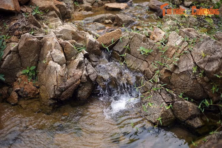 Theo các nhà nghiên cứu, làng cổ hình thành từ thời nhà Hồ, thế kỷ 15, từng là nơi sinh sống của hơn 40 hộ dân với đầy đủ các thiết chế của ngôi làng Việt với cổng làng, cây đa, giếng nước, miếu thờ…