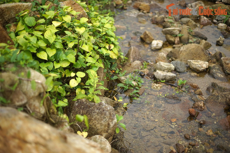 Trong nhiều thế kỷ, người dân làng Thiên Xuân đã sinh hoạt và sản xuất bên nguồn nước ngọt lành và không bao giờ vơi cạn do mẹ thiên nhiên ban tặng này.