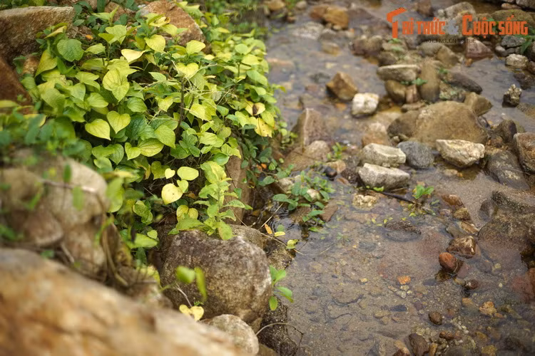 Trong nhiều thế kỷ, người dân làng Thiên Xuân đã sinh hoạt và sản xuất bên nguồn nước ngọt lành và không bao giờ vơi cạn do mẹ thiên nhiên ban tặng này.