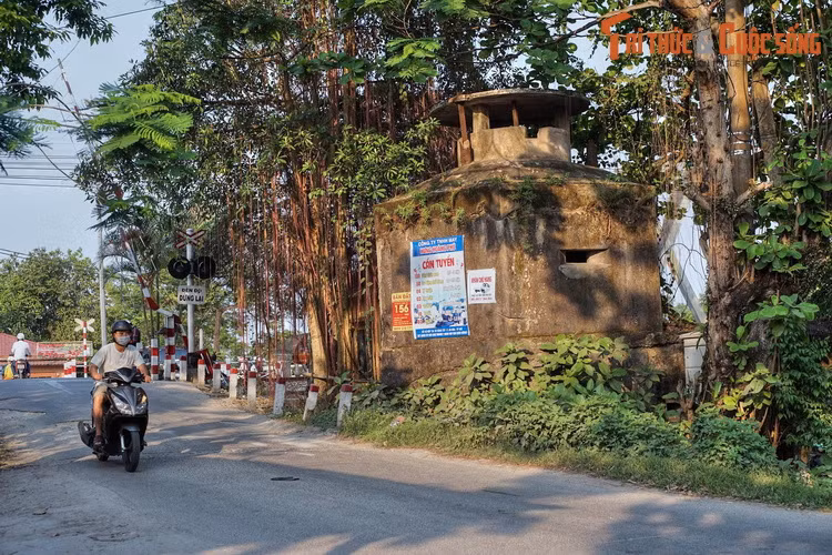 Lo cot bo hoang ky bi giua duong pho Hue an chua bi mat gi?