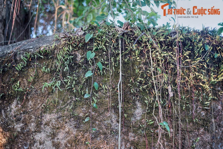 Những ngày sau đó, quân ta tấn công như vũ bão trên toàn thành phố Huế. Từ trưa đến chiều ngày 25/3/1975, đồn An Hòa cùng hầu hết các mục tiêu quan trọng ở Huế đã nằm dưới sự kiểm soát của quân Giải phóng.