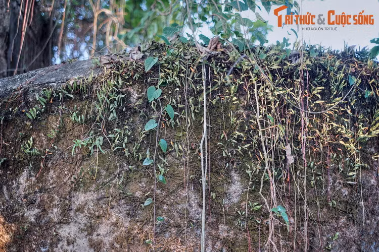 Những ngày sau đó, quân ta tấn công như vũ bão trên toàn thành phố Huế. Từ trưa đến chiều ngày 25/3/1975, đồn An Hòa cùng hầu hết các mục tiêu quan trọng ở Huế đã nằm dưới sự kiểm soát của quân Giải phóng.