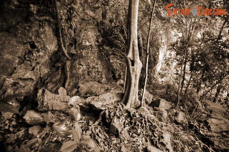 Trời đã tối, đêm ấy, người đi rước tượng phải căng lều ngủ tại vằng Bó Mi để hôm sau tính tiếp. Sáng hôm sau tỉnh dậy, họ hốt hoảng không thấy tượng Đức Phật đâu.