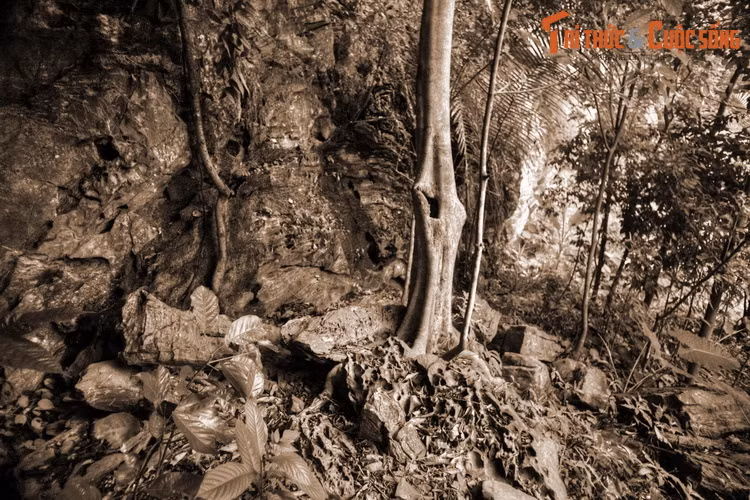 Trời đã tối, đêm ấy, người đi rước tượng phải căng lều ngủ tại vằng Bó Mi để hôm sau tính tiếp. Sáng hôm sau tỉnh dậy, họ hốt hoảng không thấy tượng Đức Phật đâu.