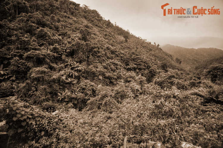 Người đi rước tượng đành thắp một bó nhang to và khấn: “Nếu ngài muốn ở đây thì con đành thuận theo ý ngài, nhưng ngài hãy cho con biết nơi ngài đang thượng tọa để con cháu đời sau thờ phụng hương khói”.