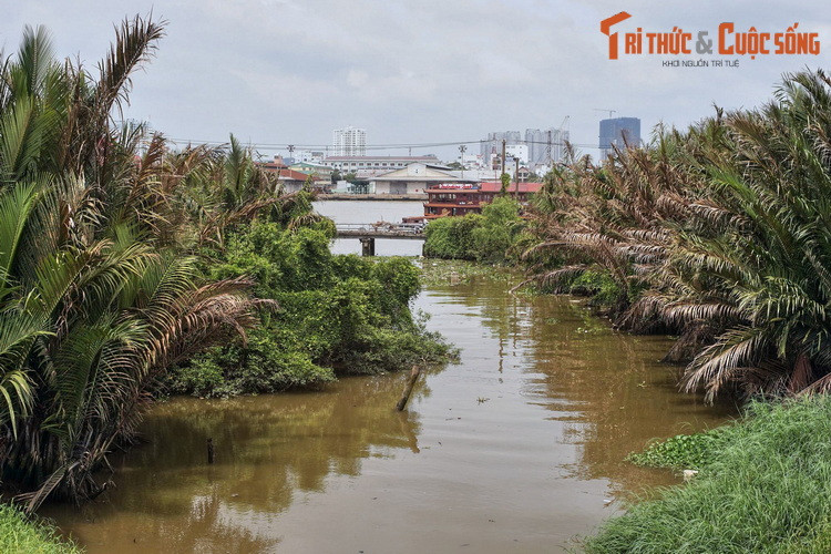 Đến cuối thế kỷ 18 thì tên gọi Thủ Thiêm xuất hiện. Trong tên gọi này, từ “Thủ” có nghĩa là đồn canh. Chính quyền chúa Nguyễn lúc bấy giờ đã cho lập đồn binh tại đây để kiểm soát việc đi lại trên sông Sài Gòn, bảo vệ vùng Gia Định. Ảnh: Một con rạch ở Thủ Thiêm.