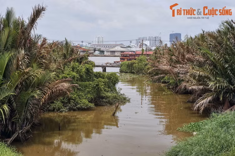 Đến cuối thế kỷ 18 thì tên gọi Thủ Thiêm xuất hiện. Trong tên gọi này, từ “Thủ” có nghĩa là đồn canh. Chính quyền chúa Nguyễn lúc bấy giờ đã cho lập đồn binh tại đây để kiểm soát việc đi lại trên sông Sài Gòn, bảo vệ vùng Gia Định. Ảnh: Một con rạch ở Thủ Thiêm.