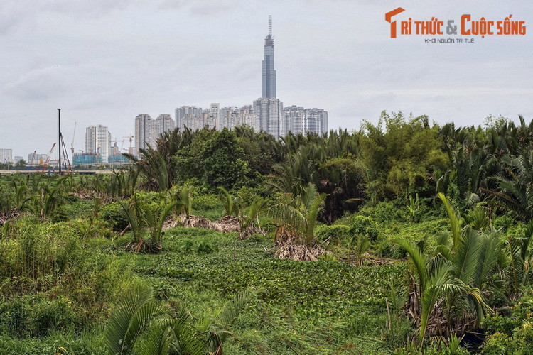 Ngược dòng thời gian, Thủ Thiêm lần đầu tiên được biết đến vào thời chúa Nguyễn, thế kỷ 17, qua tên gọi xóm Tàu Ô. Khi đó, chúa Nguyễn đã đồng ý cho một nhóm người Hoa chạy trốn nhà Thanh cư trú ở bán đảo này. Ảnh: Từ bán đảo Thủ Thiêm nhìn về tòa nhà Landmark 81.