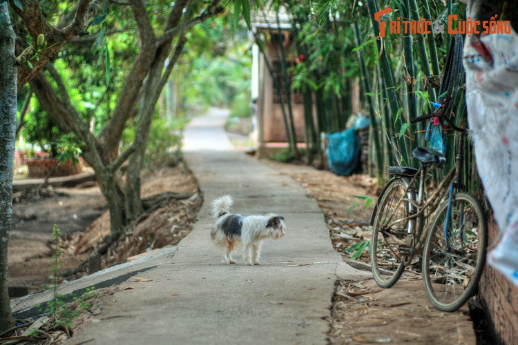 Cùng với không gian yên bình, cổ kính, lòng mến khách và sự thật thà của cư dân vùng sông nước miền Tây càng làm tăng thêm sức hấp dẫn của di sản văn hóa - làng cổ Đông Hòa Hiệp. (Bài có sử dụng tư liệu của Sở VH TT &amp; DL tỉnh Tiền Giang).