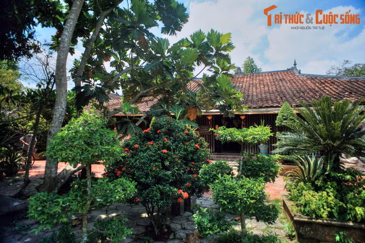 Các ngôi nhà cổ ở làng Đông Hòa Hiệp ẩn mình dưới những vườn cây ăn trái xum xuê, thoáng mát, cạnh khung cảnh sông nước hiền hòa, tạo nên cảnh quan đặc trưng đầy hấp dẫn của một ngôi làng cổ ở vùng đất phương Nam.