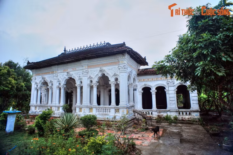 Các ngôi nhà cổ ở Đông Hòa Hiệp đều có bộ khung bằng gỗ quý theo lối truyền thống, mái lợp ngói ta. Một số nhà có các hàng cột và tường bao bên ngoài xây bằng gạch, trang trí mô típ châu Âu.