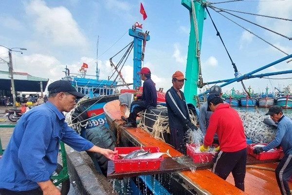 Trung me ca ngu 30 tan, thuyen vien chia nhau gan 1 ty