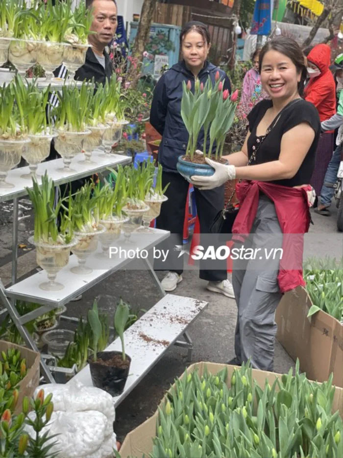 Không chỉ đào, quất, hoa mai, nhiều loại đẹp và quý cũng được bày bán dịp Tết.