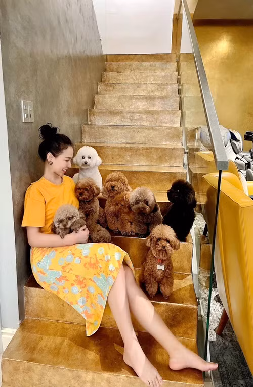 Sau thông tin Quỳnh Thư nhận lời cầu hôn, nhiều người cho rằng nữ người mẫu sẽ sớm lên xe hoa.