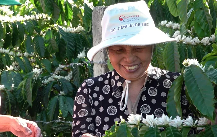 Khi mặt trời ló rạng, những người con của vùng đất đỏ bazan rộng lớn này lại bắt đầu một ngày lên nương làm việc.