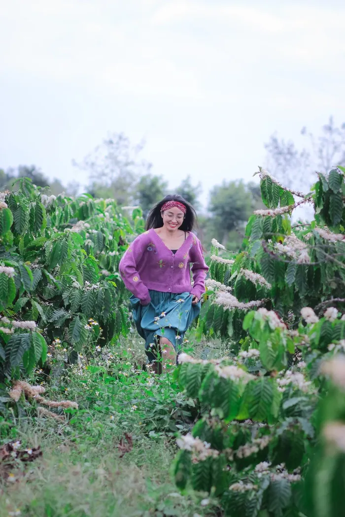 Đồi hoa cà phê trở thành điểm check in của giới trẻ