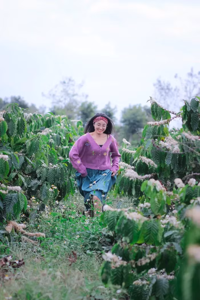 Đồi hoa cà phê trở thành điểm check in của giới trẻ