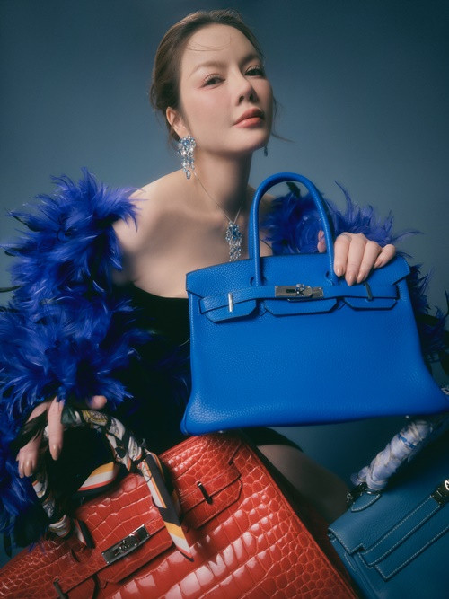 Có những dòng túi Lý Nhã Kỳ vì quá thích nên đặt thiết kế riêng cho mình.