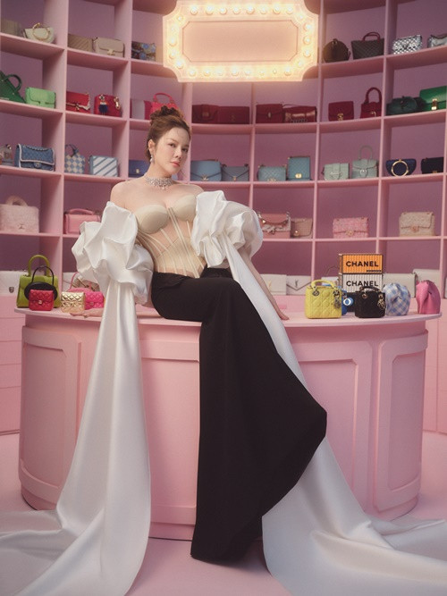 Trên các diễn đàn đồ hiệu, nhiều người đánh giá nhiều túi Hermes Birkin được trưng bày với đủ màu sắc của Lý Nhã Kỳ ước tính có giá trị bằng vài căn biệt thự.