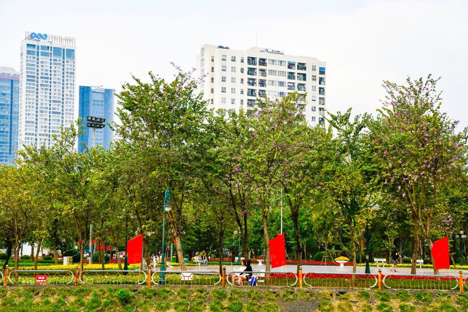 Hàng cây hoa ban này nằm trong khuôn viên công viên thoáng đãng, không có xe cộ đi lại nên yên tĩnh, an toàn. Du khách mất từ 8.000 - 10.000 đồng gửi xe để có thể vào ngắm hoa, chụp ảnh.