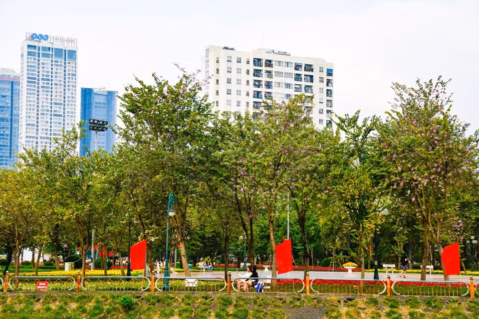 Hàng cây hoa ban này nằm trong khuôn viên công viên thoáng đãng, không có xe cộ đi lại nên yên tĩnh, an toàn. Du khách mất từ 8.000 - 10.000 đồng gửi xe để có thể vào ngắm hoa, chụp ảnh.