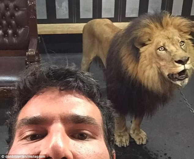 Bức ảnh chụp Bilzerian cạnh một loài vật được cho là một con sư tử bị xích.