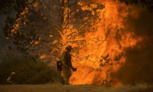 Theo Cục Quản lý và Phòng chống Cháy rừng California (Cal Fire), vụ cháy rừng dữ dội tại miền bắc California đã thiêu rụi nhiều ngôi nhà và khiến hàng nghìn người dân phải sơ tán.
