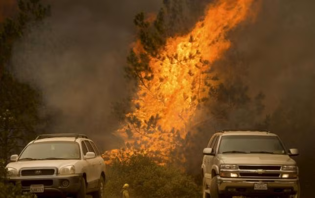 Đám cháy Valley Fire bùng phát vào chiều 12/9 và nhanh chóng lan rộng ra diện tích 4.047 hecta rừng.