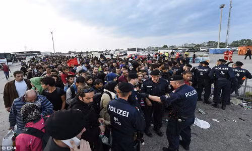 Duc dong cua bien gioi, nguoi ti nan tuyet vong-Hinh-9