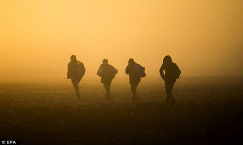 Các di dân đi qua một cánh đồng để tránh các chốt kiểm tra dọc đường tàu nối Horgos và Szeged.