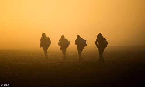 Duc dong cua bien gioi, nguoi ti nan tuyet vong-Hinh-11